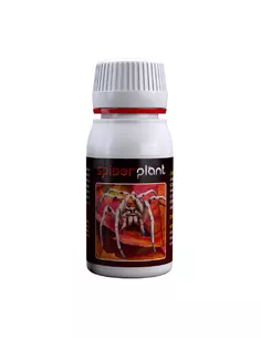 Spider Plant 15 ml