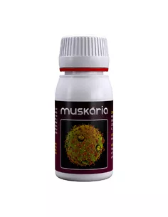 Muskaria 60 ml