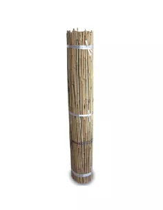 Tutores de Bambú 1,5m 300U